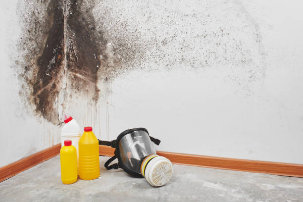 Best Crawl Space Mold Removal  in Fordyce, AR