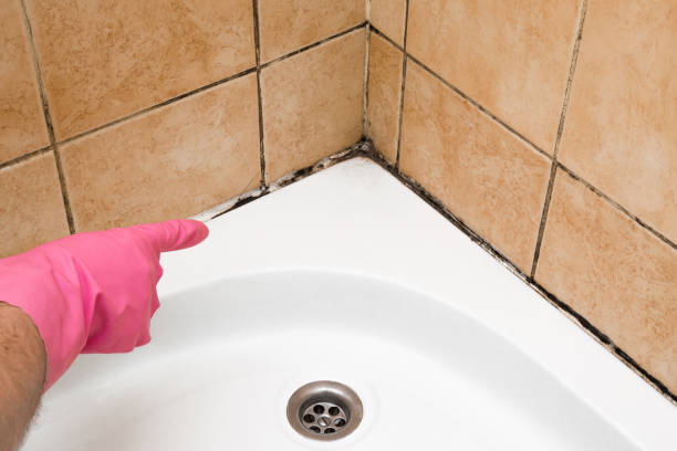 Best Mold Testing  in Fordyce, AR